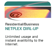 NETPLEX Dialup Information